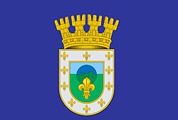Bandera peñaflor